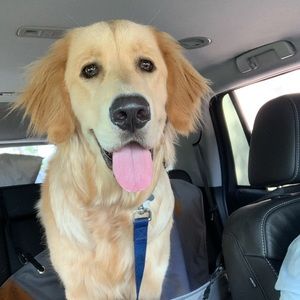 Meet your Posher, Paige